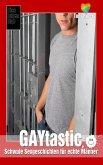 GAYtastic 3   Schwuler Lifestyle (eBook, ePUB)