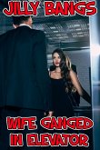 Wife Ganged In Elevator (eBook, ePUB)