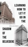 Learning How to Let It Go in the Shadow of the Belvedere (eBook, ePUB)
