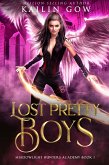 Lost Pretty Boys (eBook, ePUB)