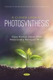 Closer Look at Photosynthesis (eBook, PDF)