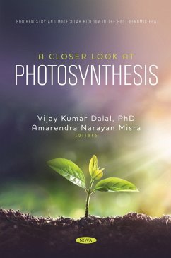 Closer Look at Photosynthesis (eBook, PDF)