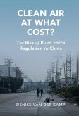 Clean Air at What Cost? (eBook, ePUB)