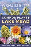 Guide to Common Plants of Lake Mead National Recreation Area (eBook, PDF)