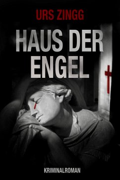 Haus der Engel (eBook, ePUB) - Zingg, Urs