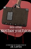 Summa Netherynthica (eBook, ePUB)