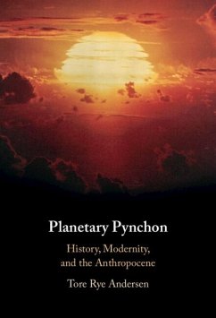 Cover Planetary Pynchon (eBook, ePUB)