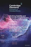 Banking Stability and Financial Conglomerates in European Emerging Countries (eBook, ePUB)