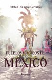 Pueblos mágicos de México (eBook, ePUB)