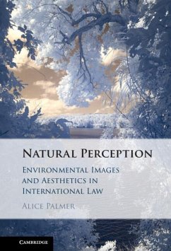 Natural Perception (eBook, ePUB) - Palmer, Alice