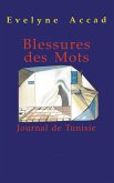 Blessures des mots (eBook, PDF) Blessures des mots (eBook, PDF)