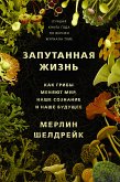 Запутанная жизнь. Как грибы меняют мир, наше сознание и наше будущее (eBook, ePUB)