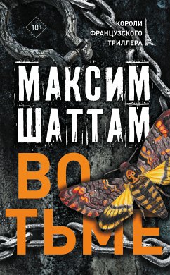 Во тьме (eBook, ePUB) - Шаттам, Максим