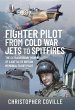 Fighter Pilot: From Cold War Jets to... - Bild 1