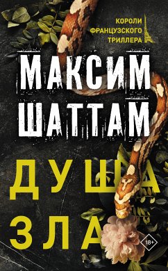 Душа зла (eBook, ePUB) - Шаттам, Максим