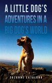 Little Dog's Adventures in a Big Dog's World (eBook, ePUB) Little Dog's Adventures in a Big Dog's World (eBook, ePUB)