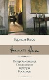 Петер Каменцинд. Под колесом. Гертруда. Росхальде (eBook, ePUB)