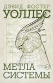 Метла системы (eBook, ePUB)