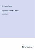 A Terrible Secret; A Novel