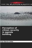 Perception of citizen security in agenda building