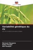 Variabilité génétique du riz