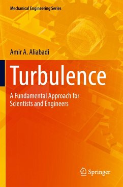 Turbulence - Aliabadi, Amir A.