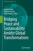 Bridging Peace and Sustainability Amidst Global Transformations