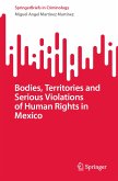 Bodies, Territories and Serious Violations of Human Rights in Mexico (eBook, PDF)