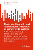 Electronic, Magnetic, and Thermoelectric Properties of Spinel Ferrite Systems (eBook, PDF)