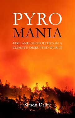 Cover Pyromania (eBook, PDF)