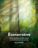 Econarrative (eBook, ePUB)