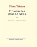 Promenades dans Londres (eBook, PDF)