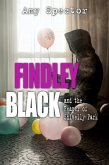 Findley Black and the Reaper of Shivelly Park (eBook, ePUB)