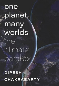 Cover One Planet, Many Worlds (eBook, ePUB)