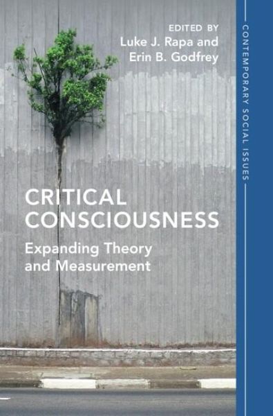 Critical Consciousness (eBook, ePUB)