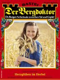 Der Bergdoktor 2204 (eBook, ePUB)