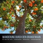 Wanderung durch den Orangenhain: Ein Fest der Sinne - Fantasiereise - Mentalreise - Geführte Tiefenentspannung - Gedankenreise (MP3-Download)