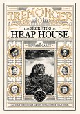 Trilogía IREMONGER 1: Los secretos de Heap House (eBook, ePUB)