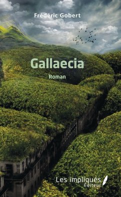 Cover Gallaecia (eBook, PDF)