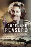 Codename TREASURE (eBook, ePUB)