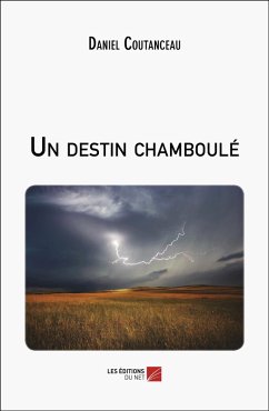 Cover Un destin chamboulé (eBook, ePUB)