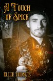 Touch of Spice (eBook, ePUB)