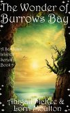 The Wonder of Burrows Bay (A San Juan Islands Series, #5) (eBook, ePUB)