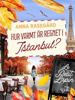 Cover Hur varmt är regnet i Istanbul? (eBook, ePUB)