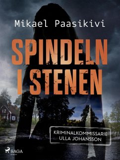 Spindeln i stenen (eBook, ePUB) - Paasikivi, Mikael