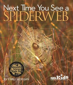 Next Time You See a Spiderweb (eBook, PDF) - Morgan, Emily