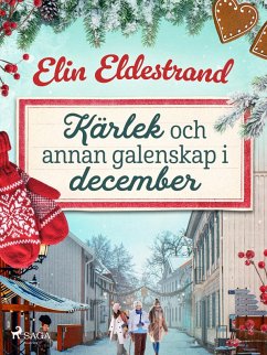Kärlek och annan galenskap i december (eBook, ePUB) - Eldestrand, Elin