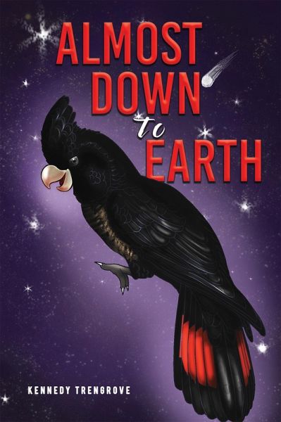 Almost Down to Earth (eBook, ePUB)