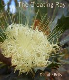 The Creating Ray (eBook, ePUB)