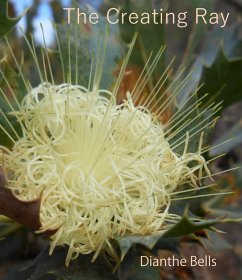 Cover The Creating Ray (eBook, ePUB)
